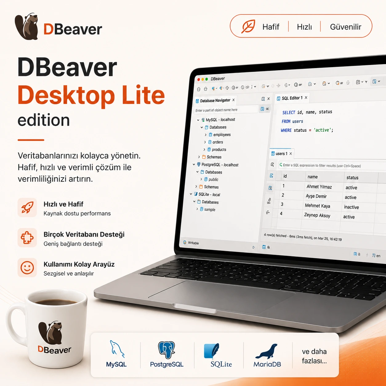 Dbevaer Desktop Lite Edition
